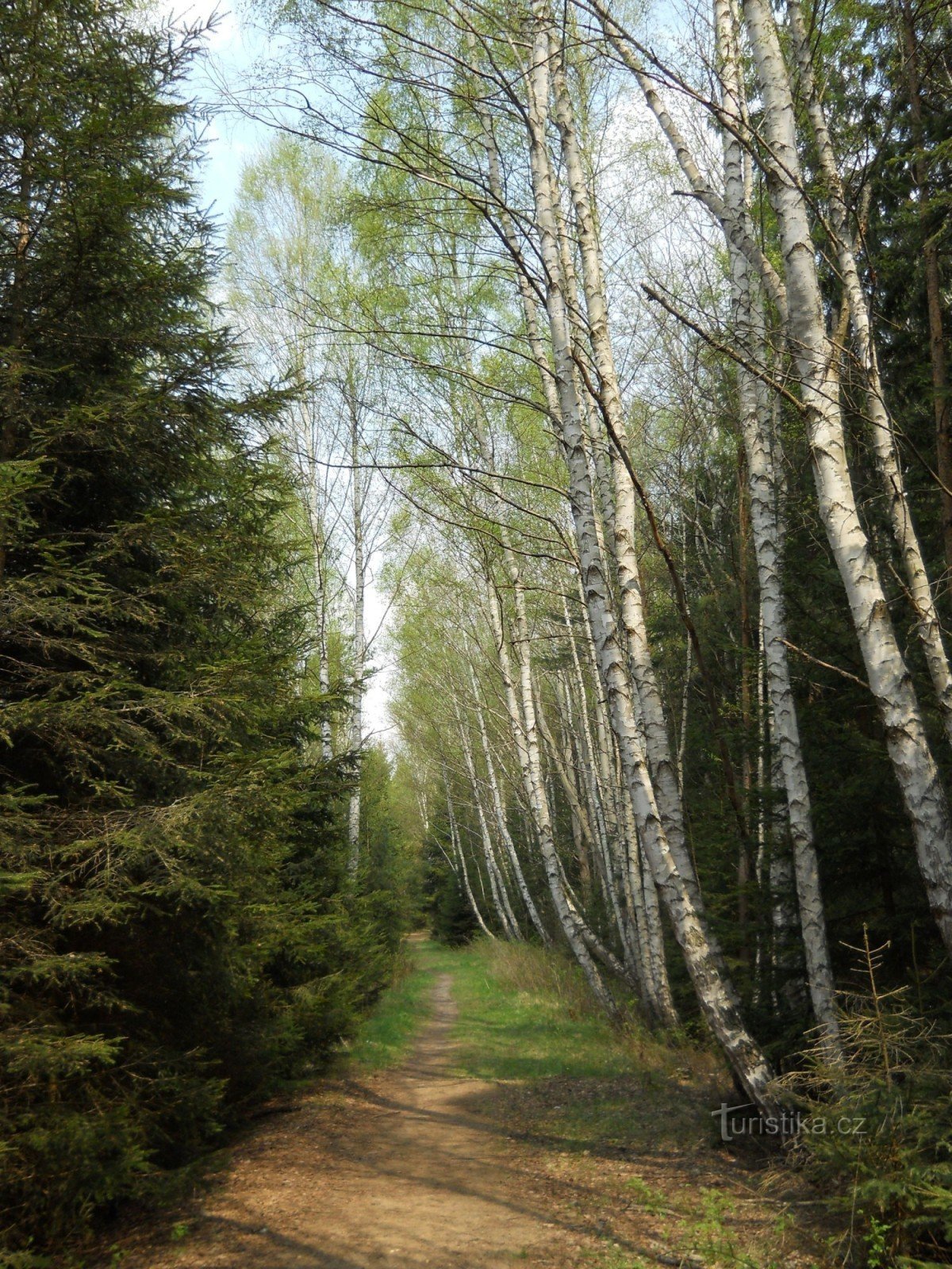 Borkovická blata - entrance route