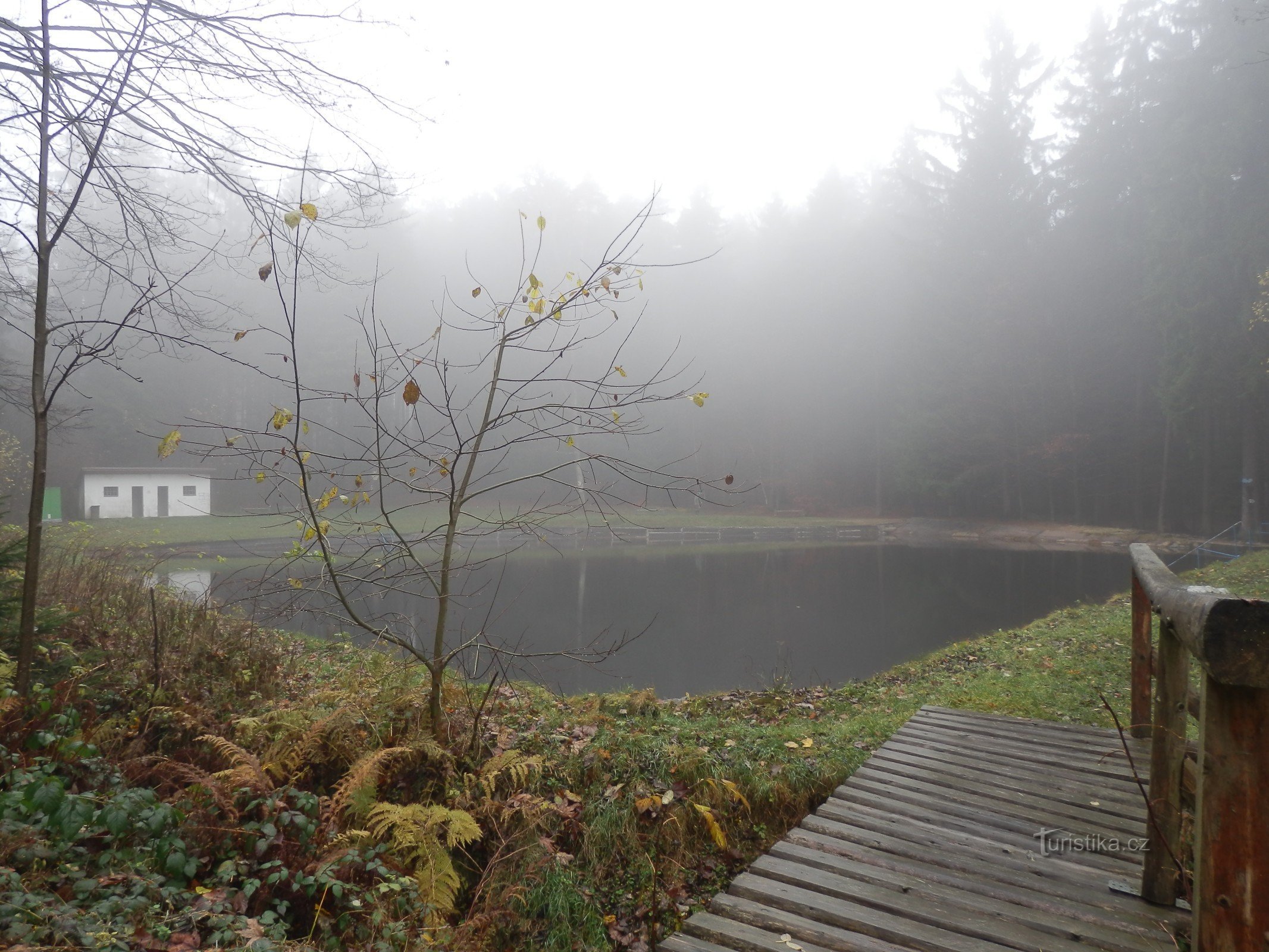 Borová u Polička-swimming pool