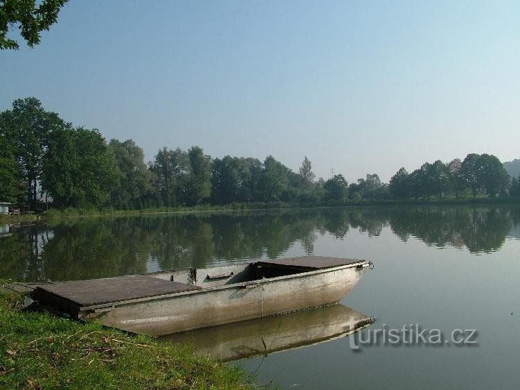 Fenyő - tavacska