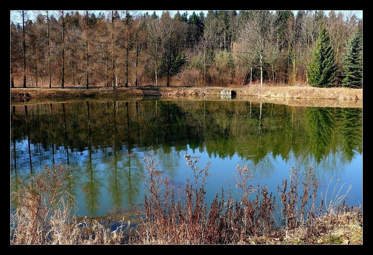 松の池