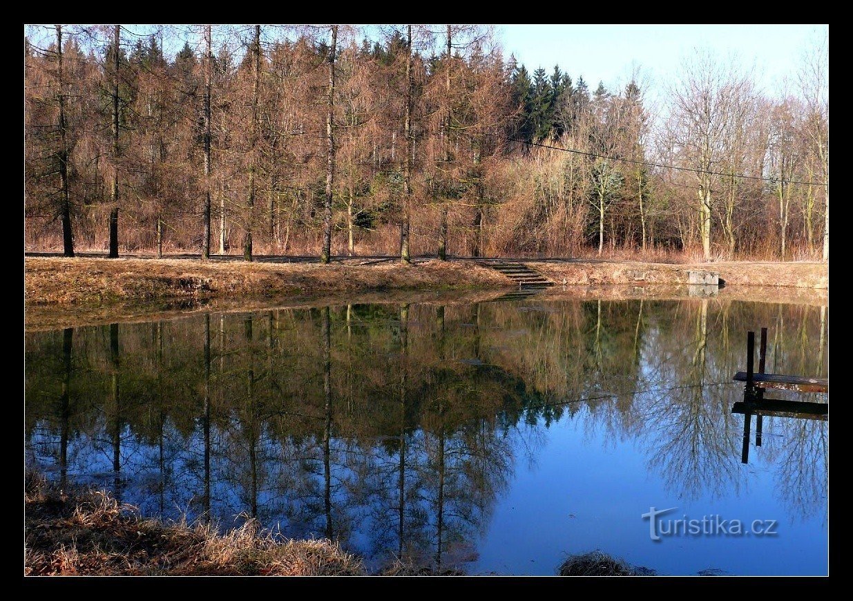 Fenyő tavak