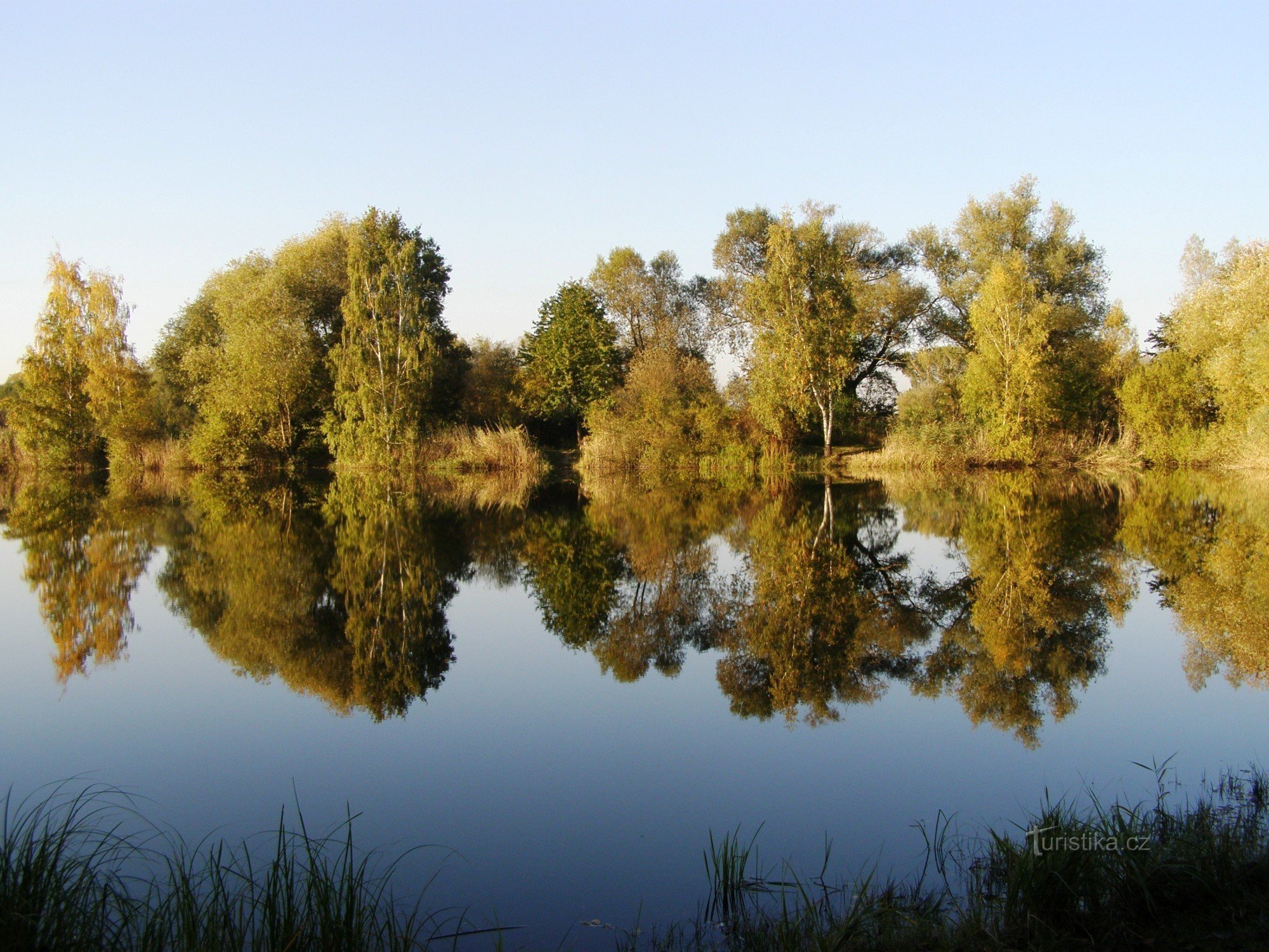 borovnica (HK)