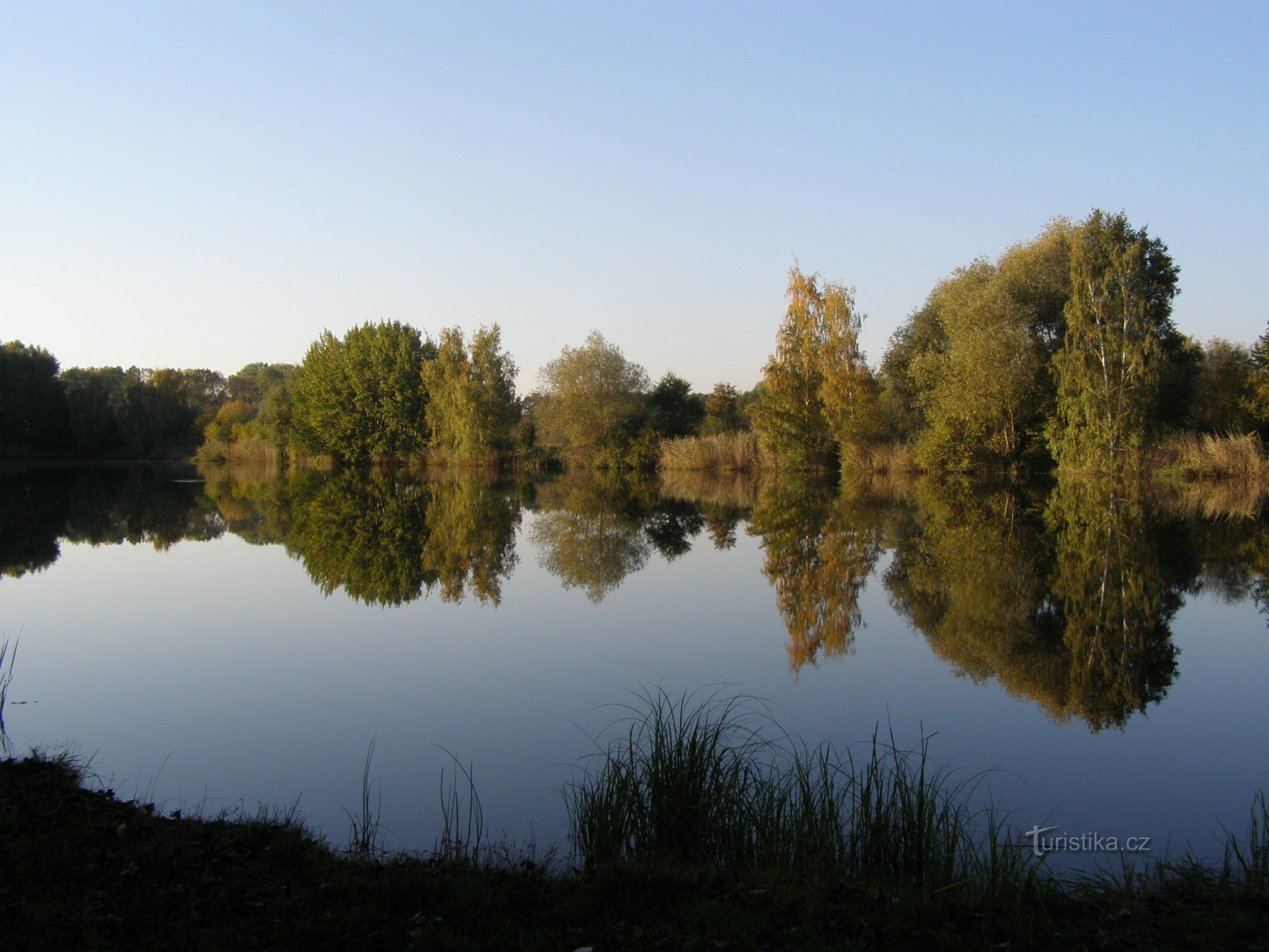 borovnica (HK)