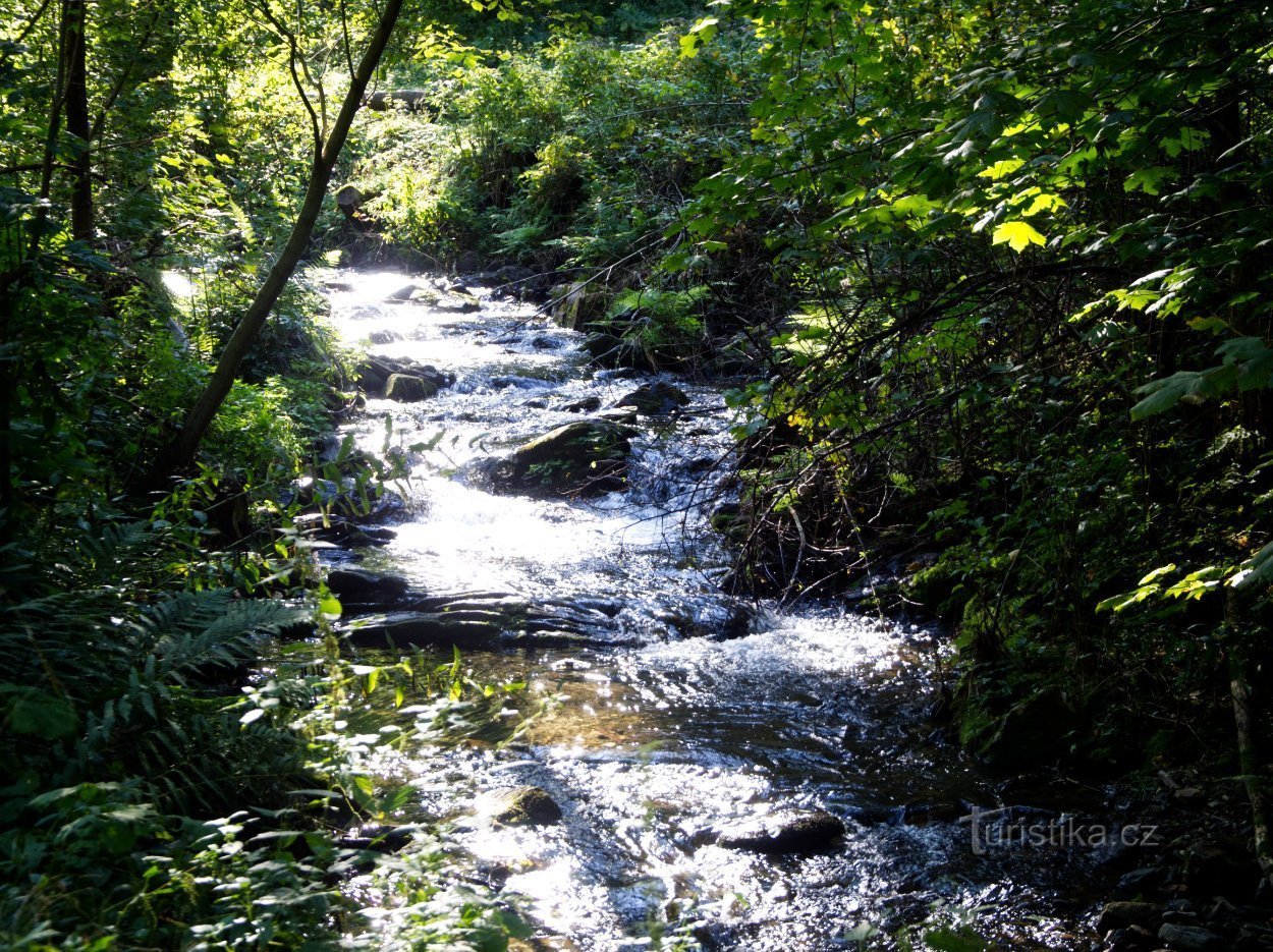 Borov potok