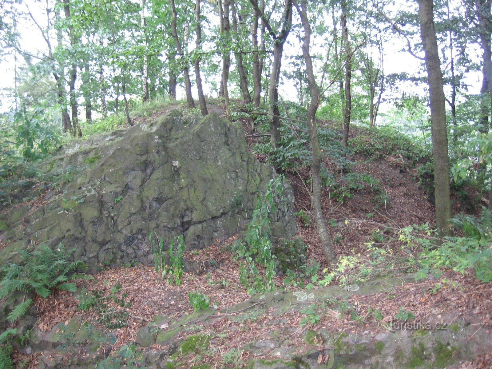 Borský vrch - peak