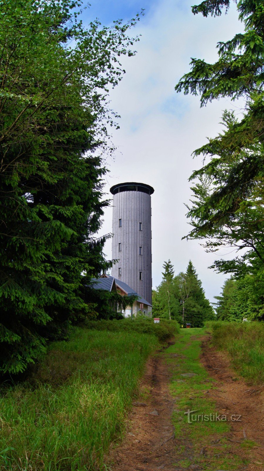 Montagne des bleuets