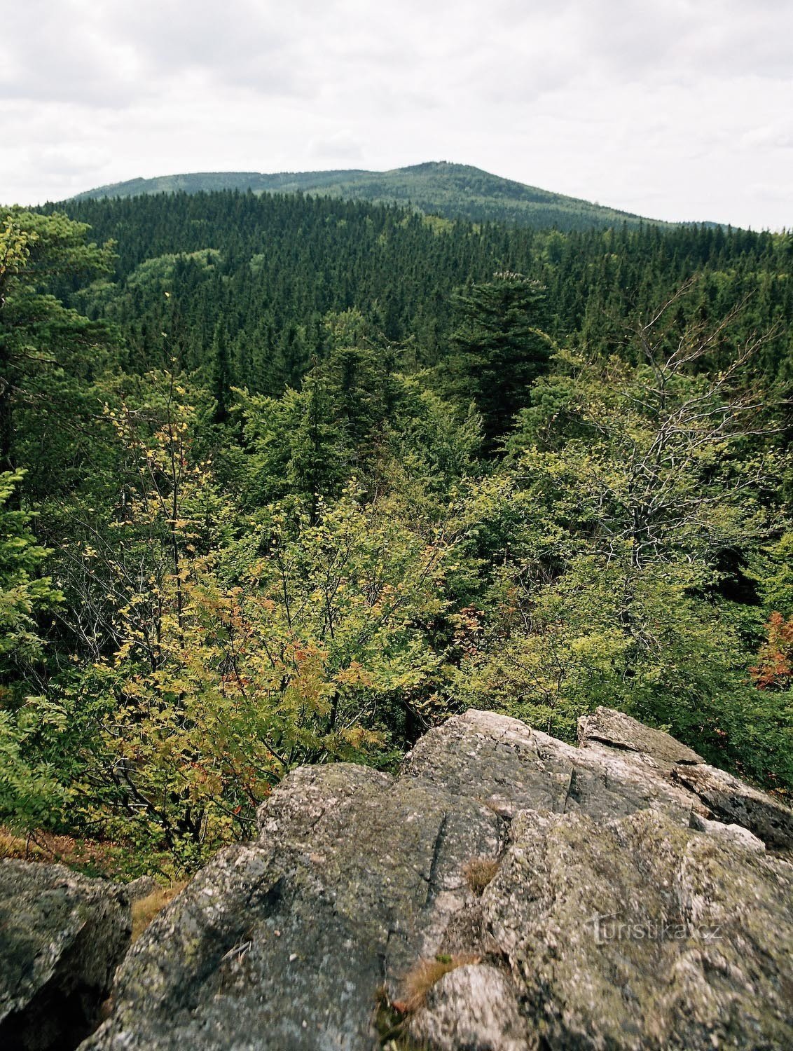 Planina borovnica s vidikovca Vysoké ská