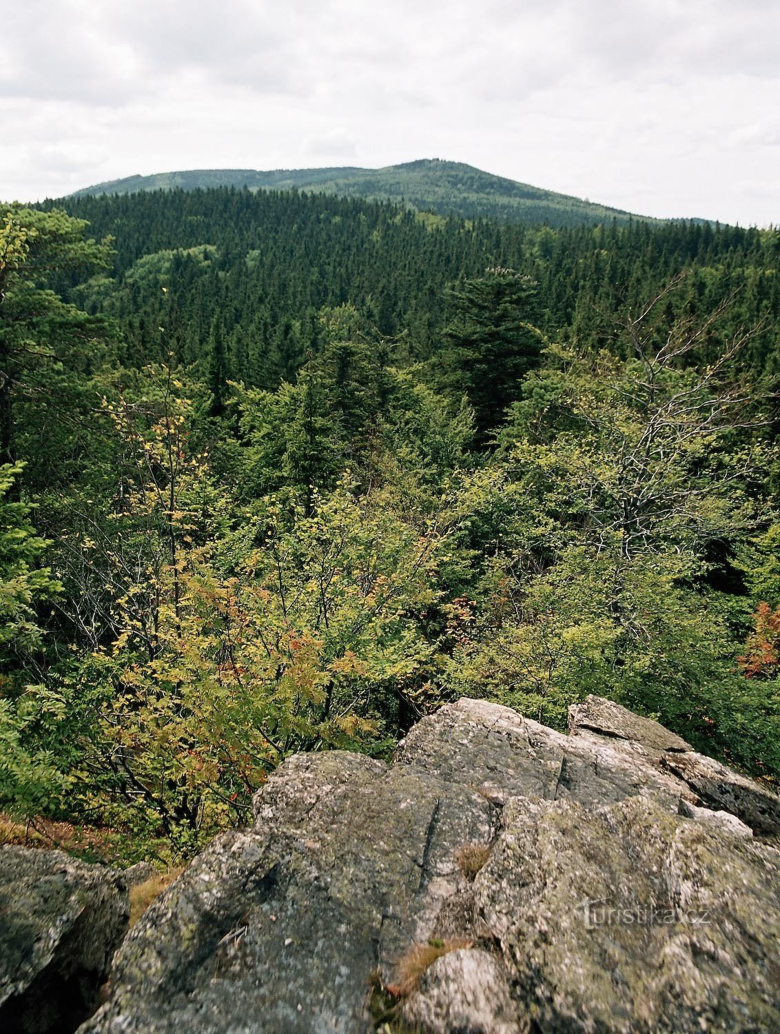 Blueberry Mountain fra udsigtspunktet Vysoké ská