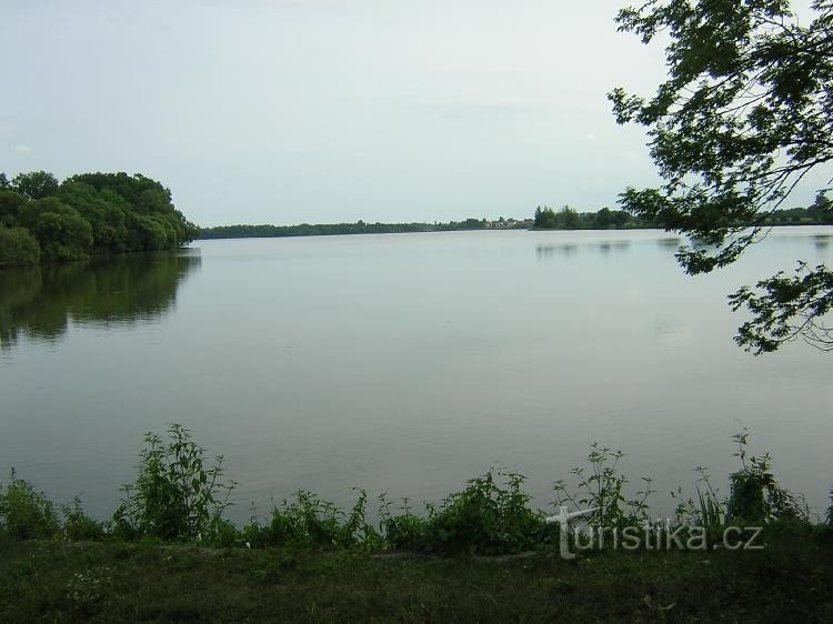 Bošilecký dam