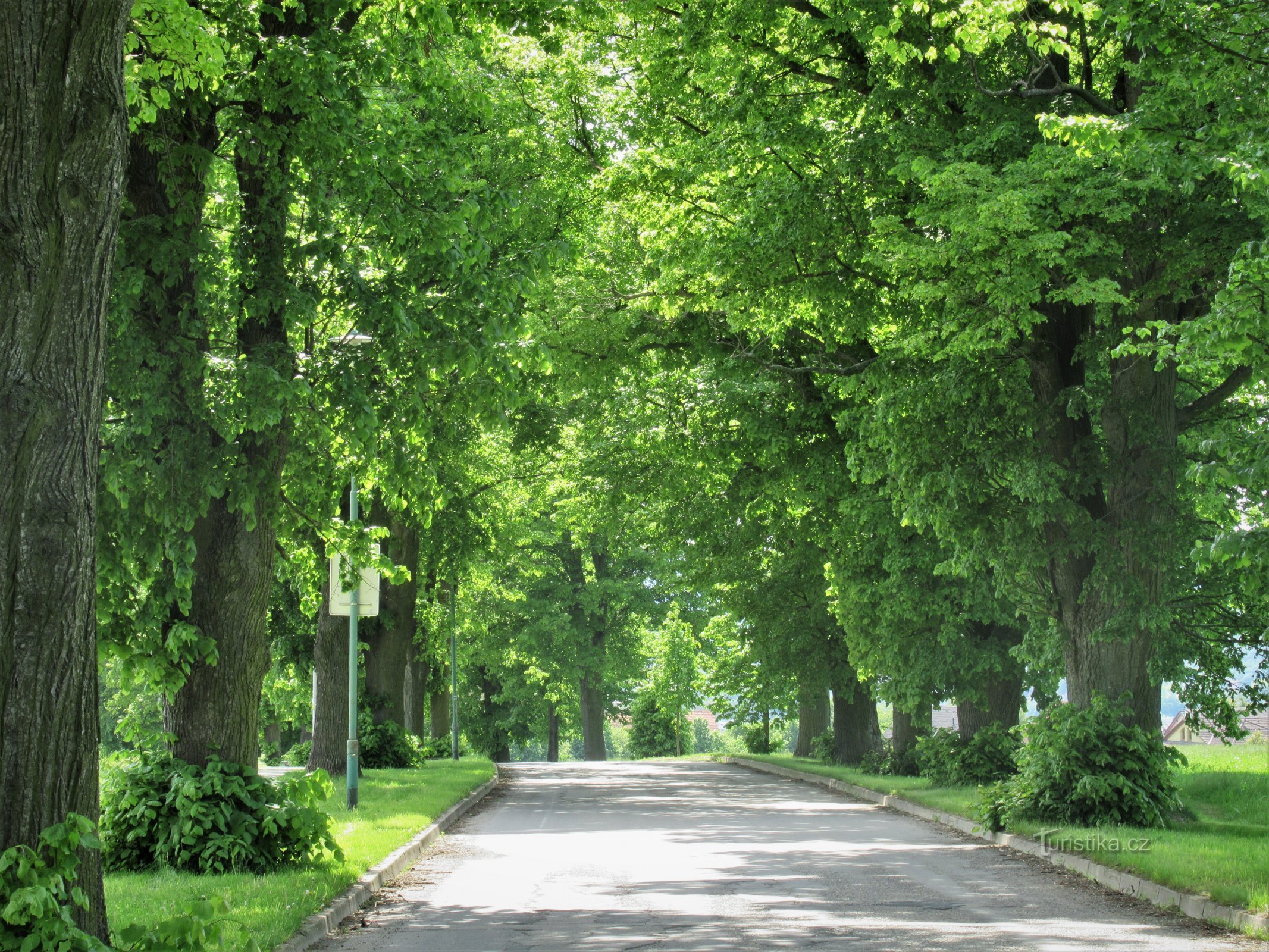 Boskovice - Svatopluka Čecha alley