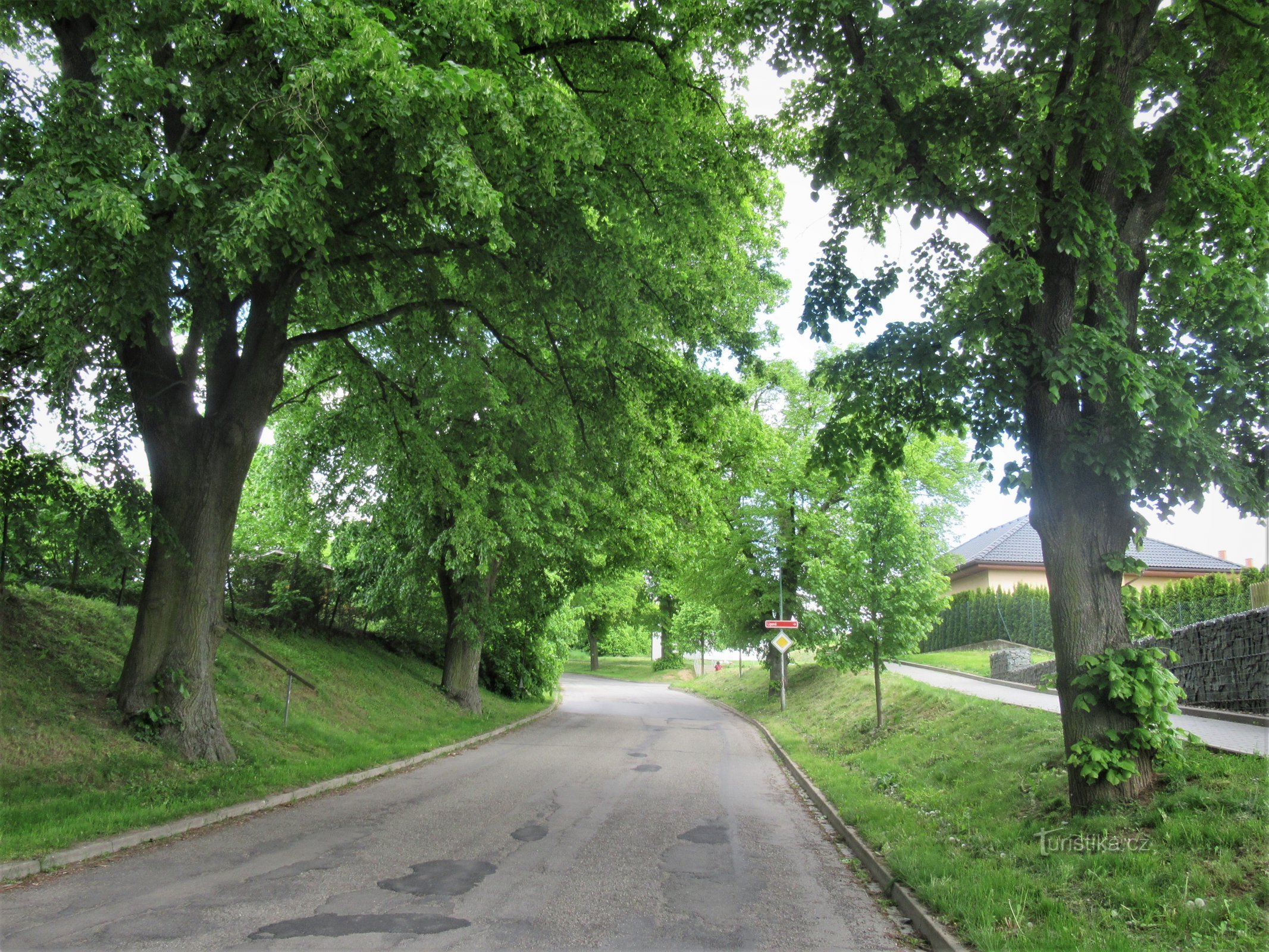 Boskovice - aleea Svatopluka Čecha