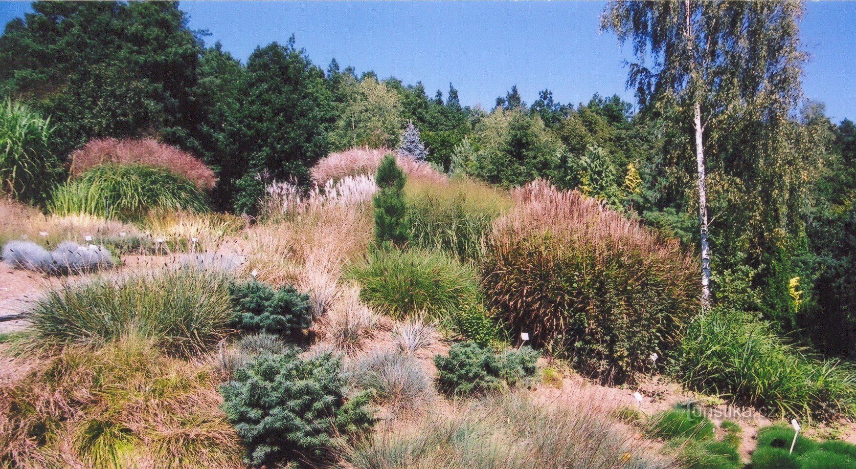 Boškovice - arboretum