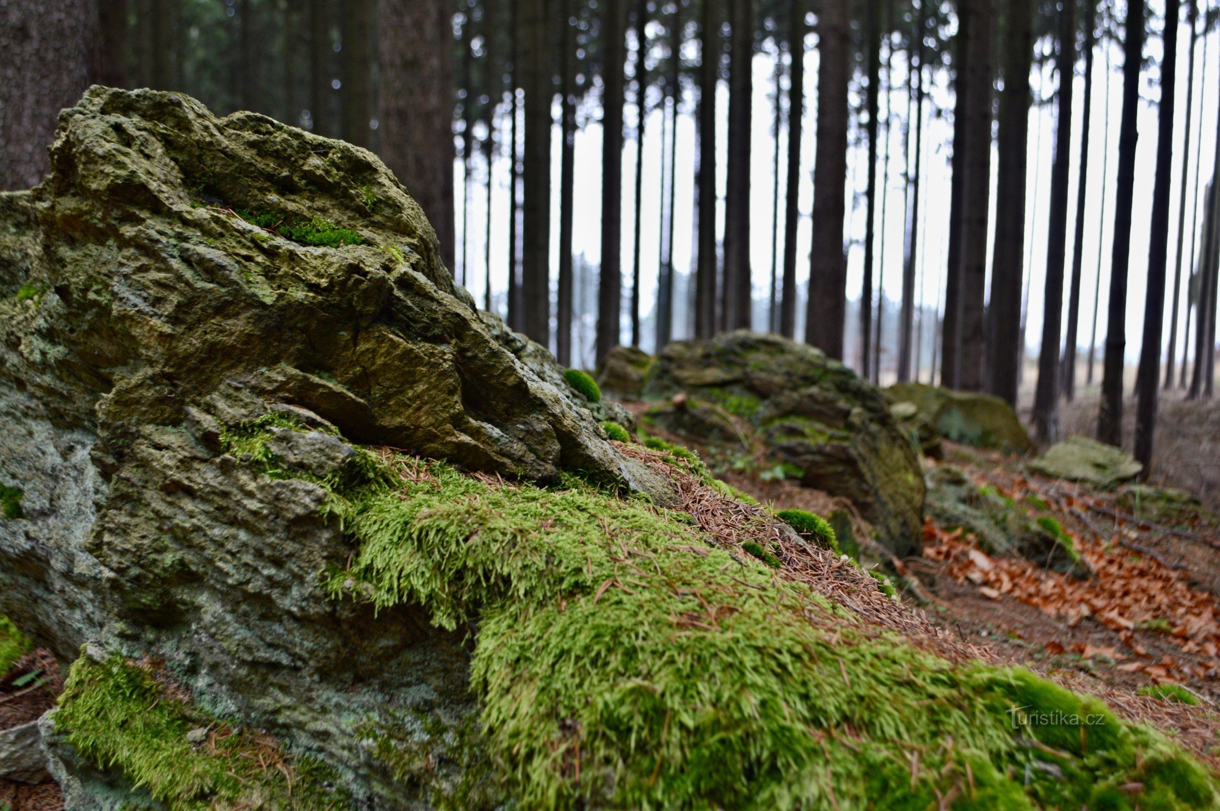 博斯科维采 - Doubravice nad Svitavou