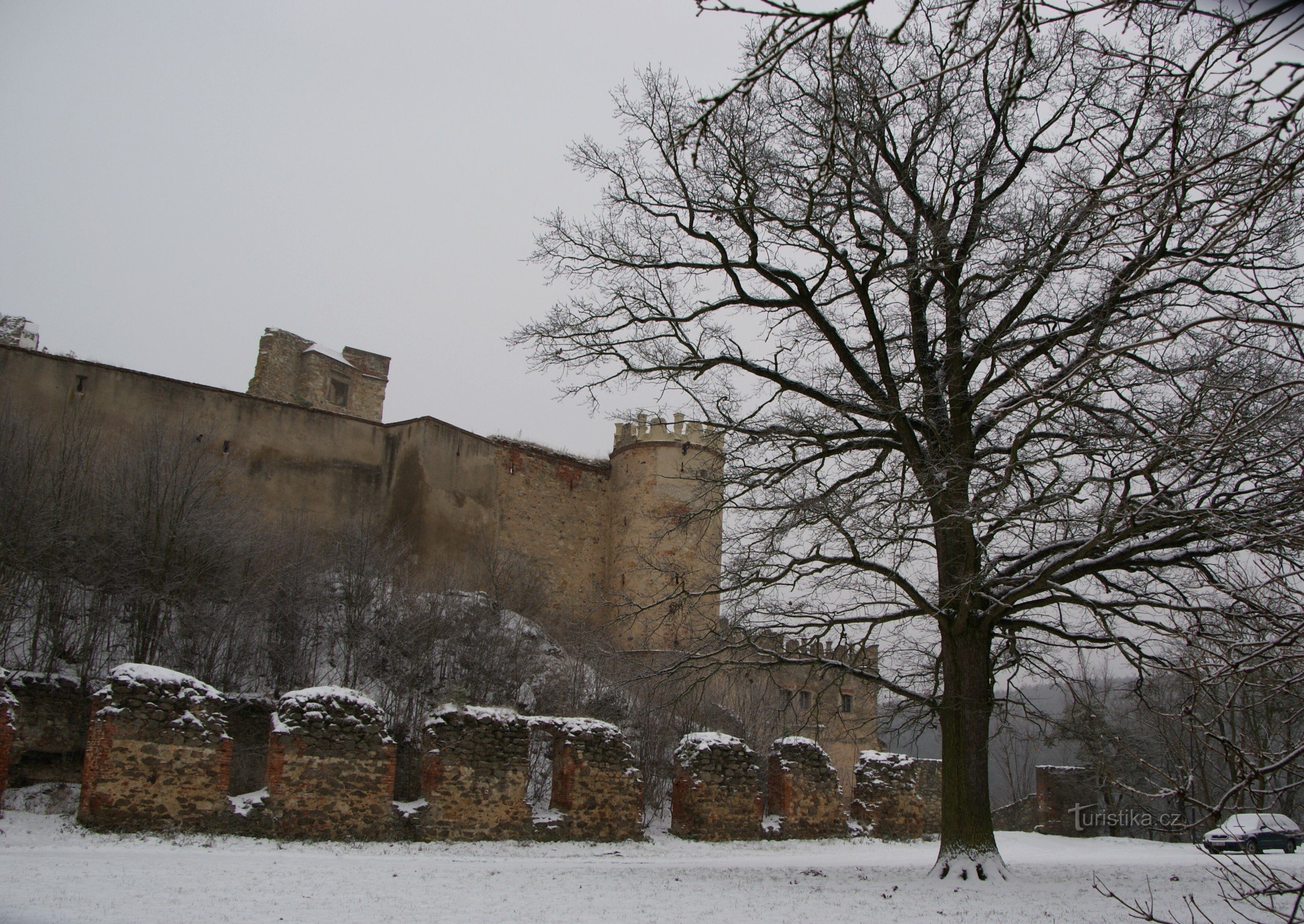 Boskovice – Štěpánčin svatební dub