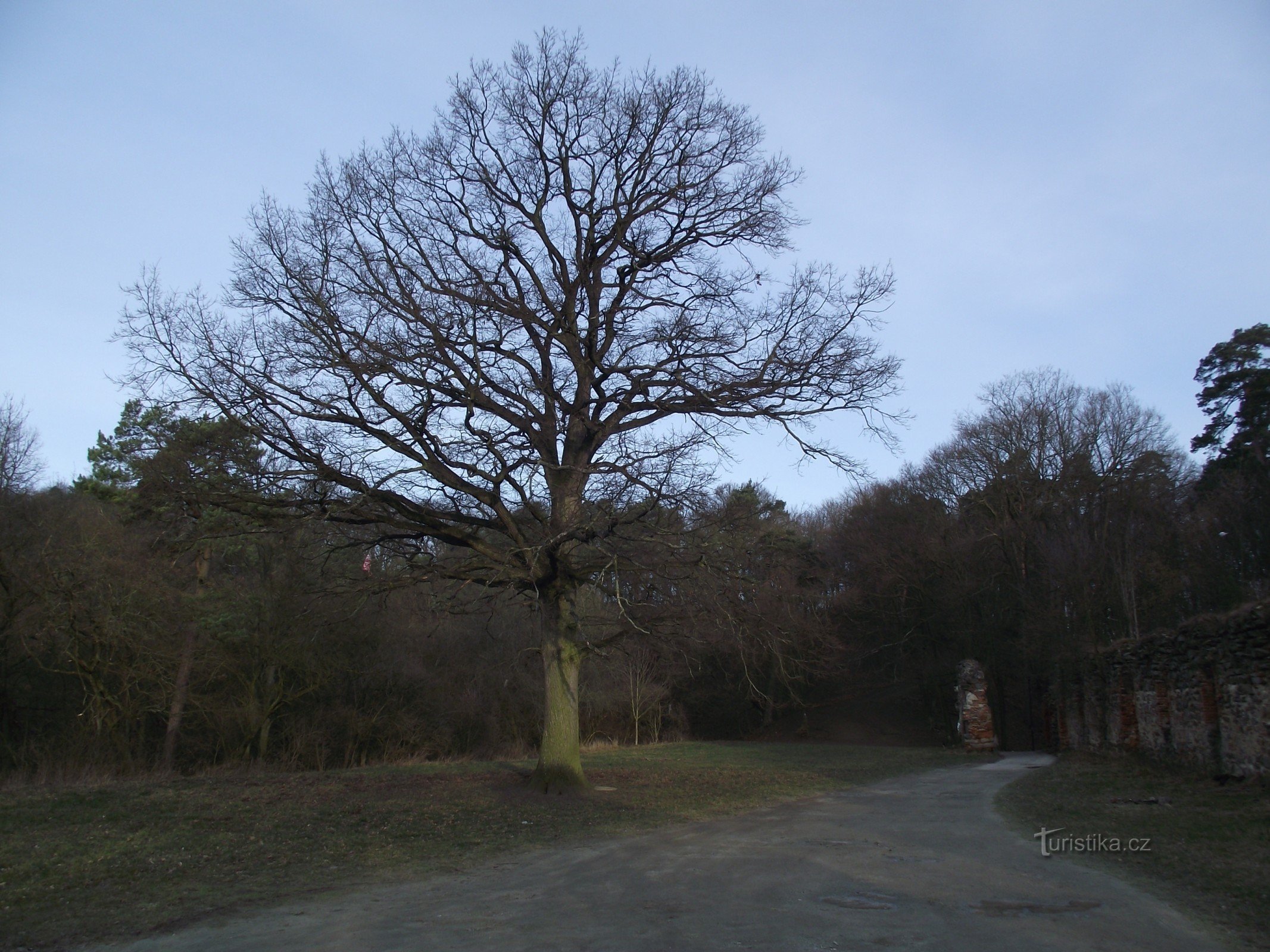 Boskovice – Roble nupcial de Štěpánča