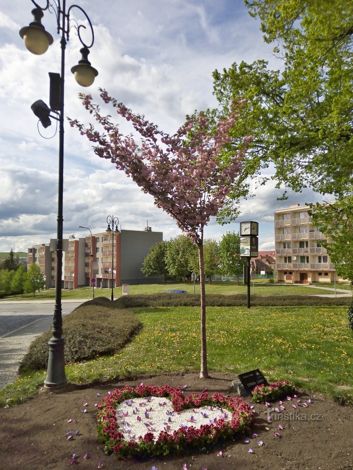 Boskovice - Tree of love