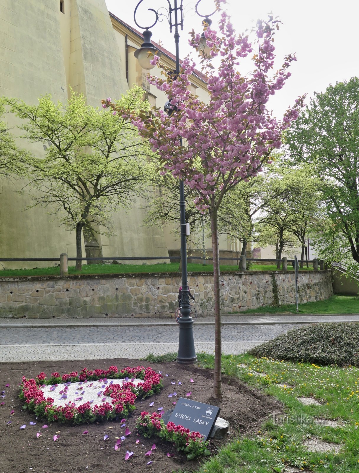 Boskovice - Árbol del amor