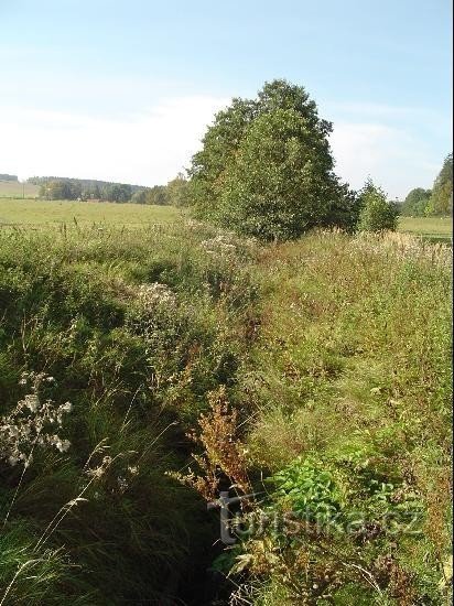 Arroyo Boškov: Vista de Boškov