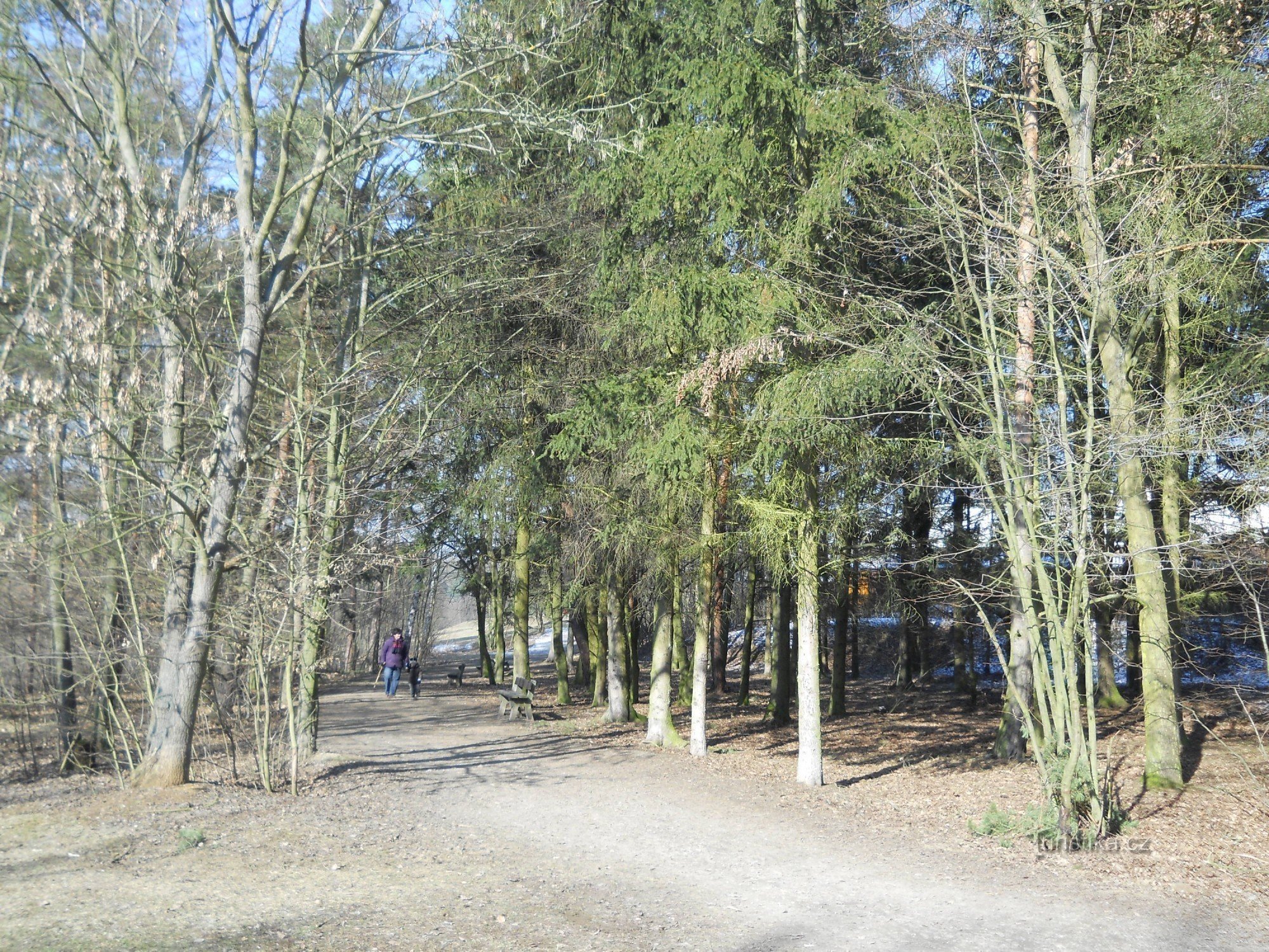 Boský park