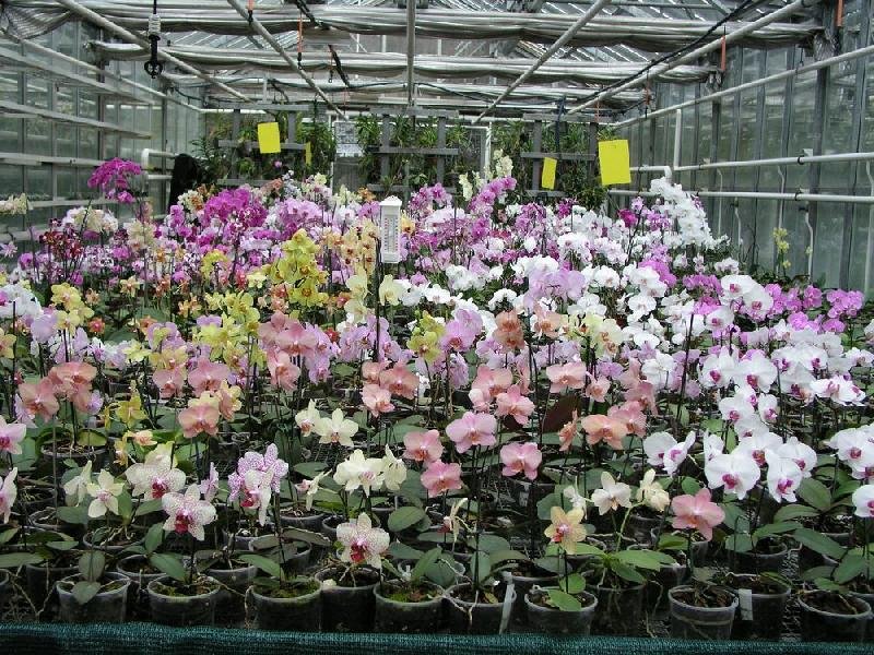 Botanická zahrada a arboretum Mendelovy Univerzity v Brně