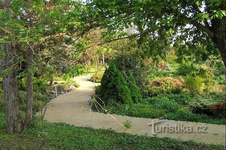植物園: 庭の小道