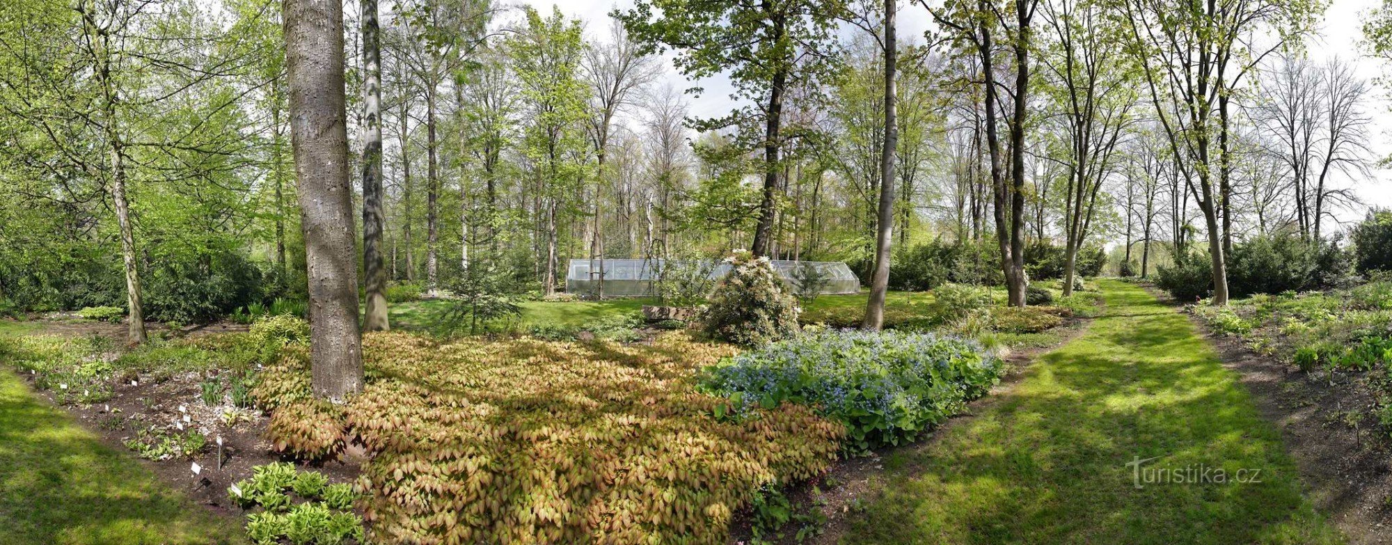 Botaniska trädgården hl. av staden Prag i Troja