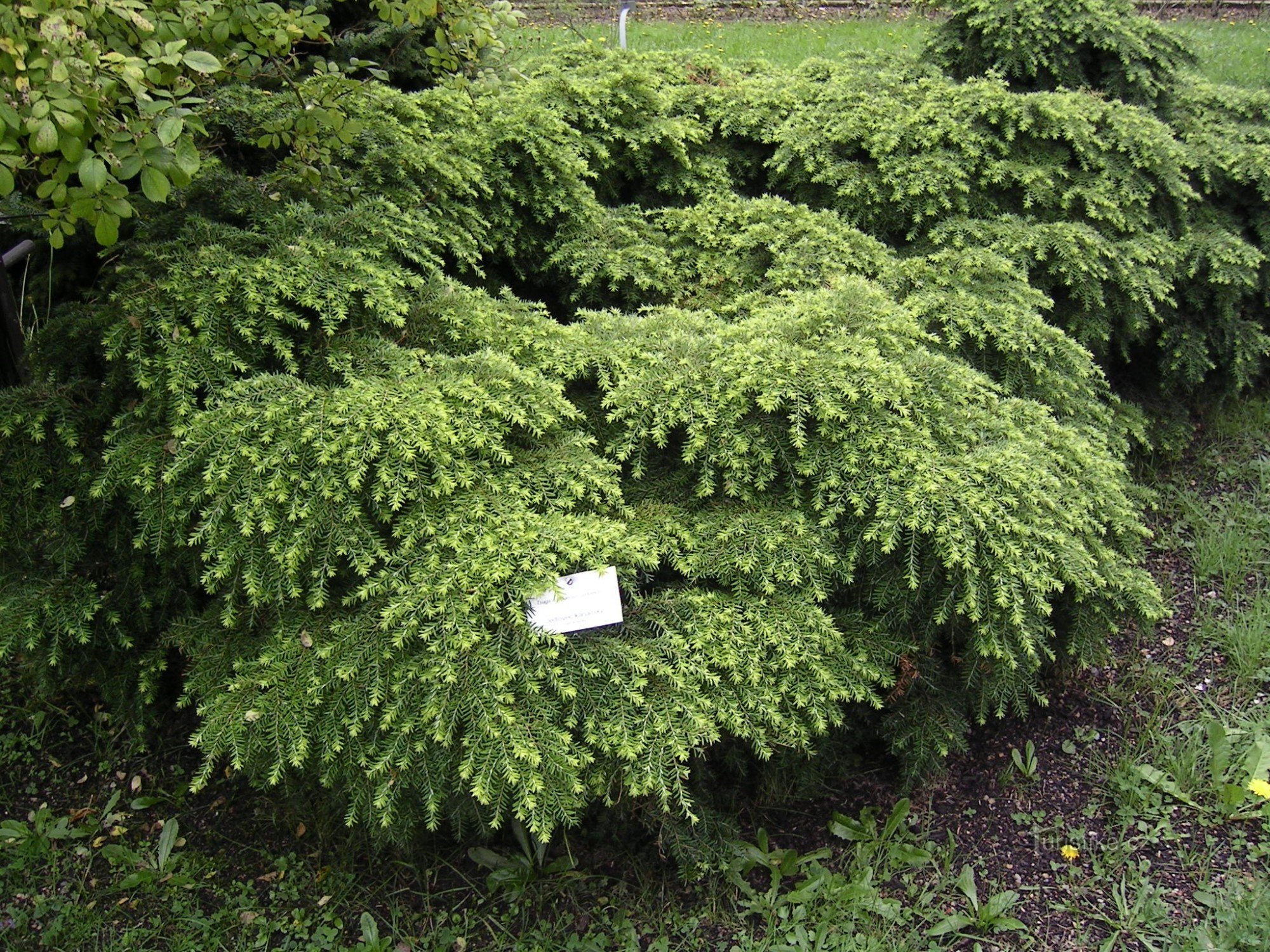 Jardin botanique de Liberec