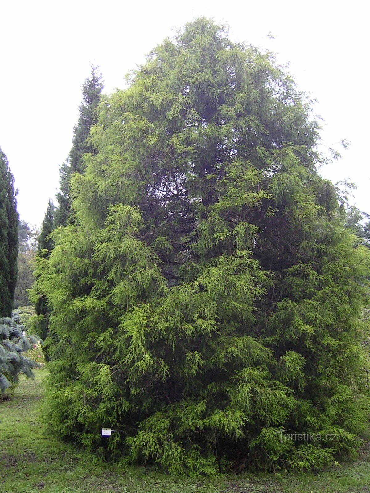 Jardin botanique de Liberec