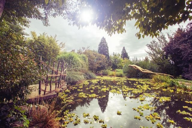 Giardino Botanico Praga