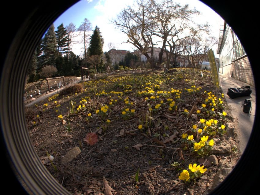 Botaniska trädgården vid fakulteten för naturvetenskap vid Charles University