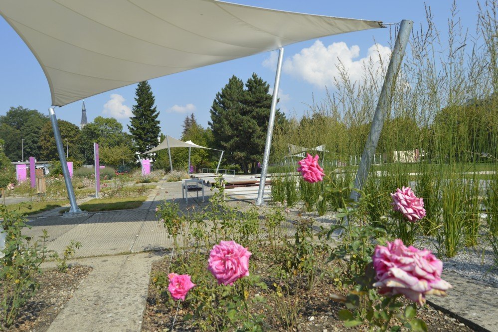 Gradina botanica - rosarium