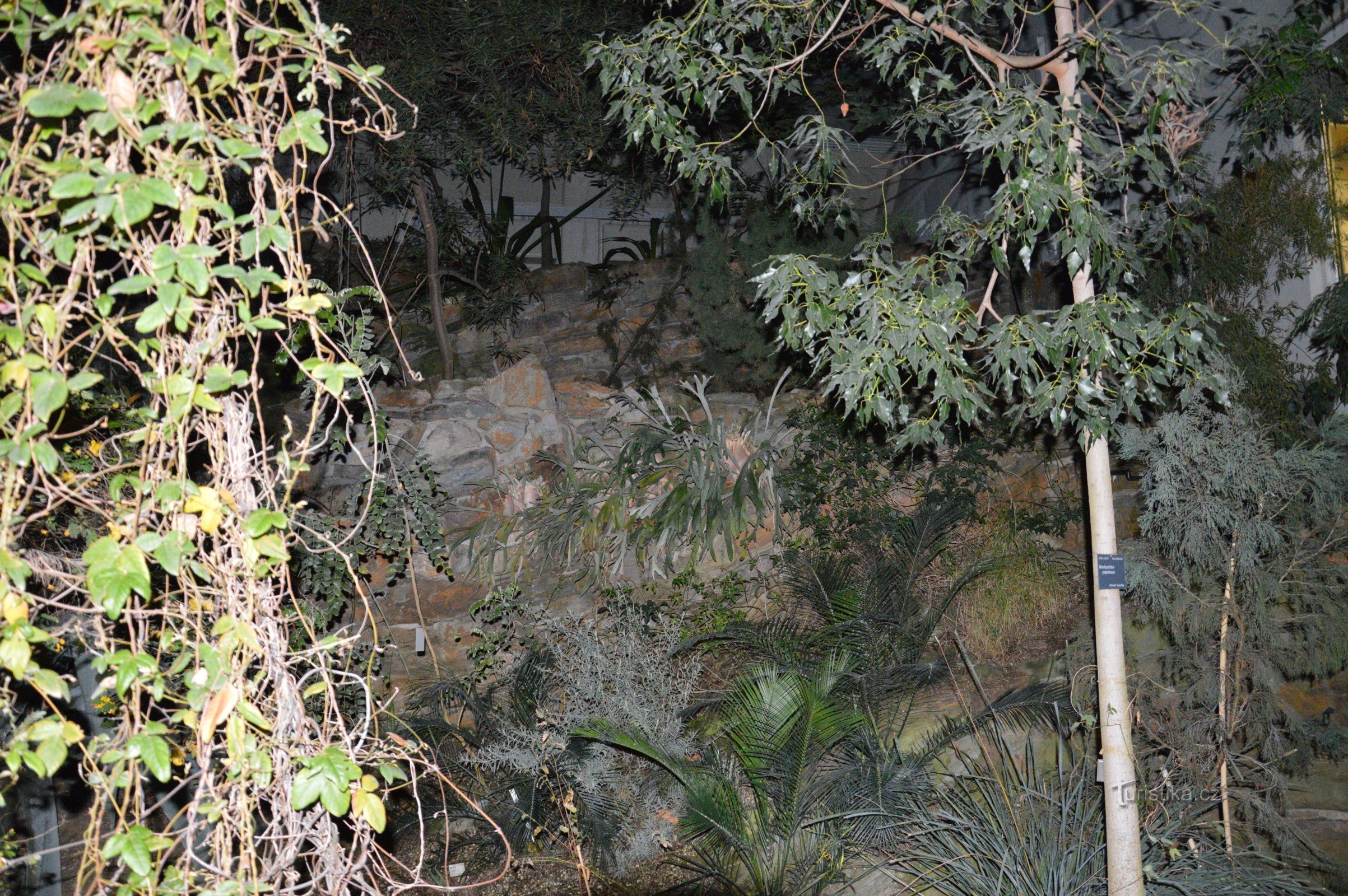 Botanic garden greenhouse Fata morgana at night