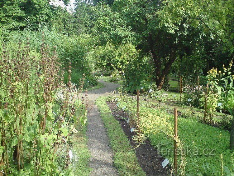 Botanisk have i Prostějov