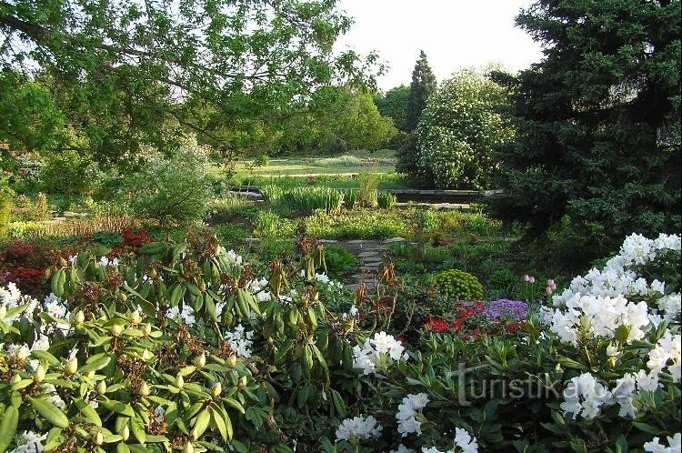 giardino botanico: esposizione all'aperto