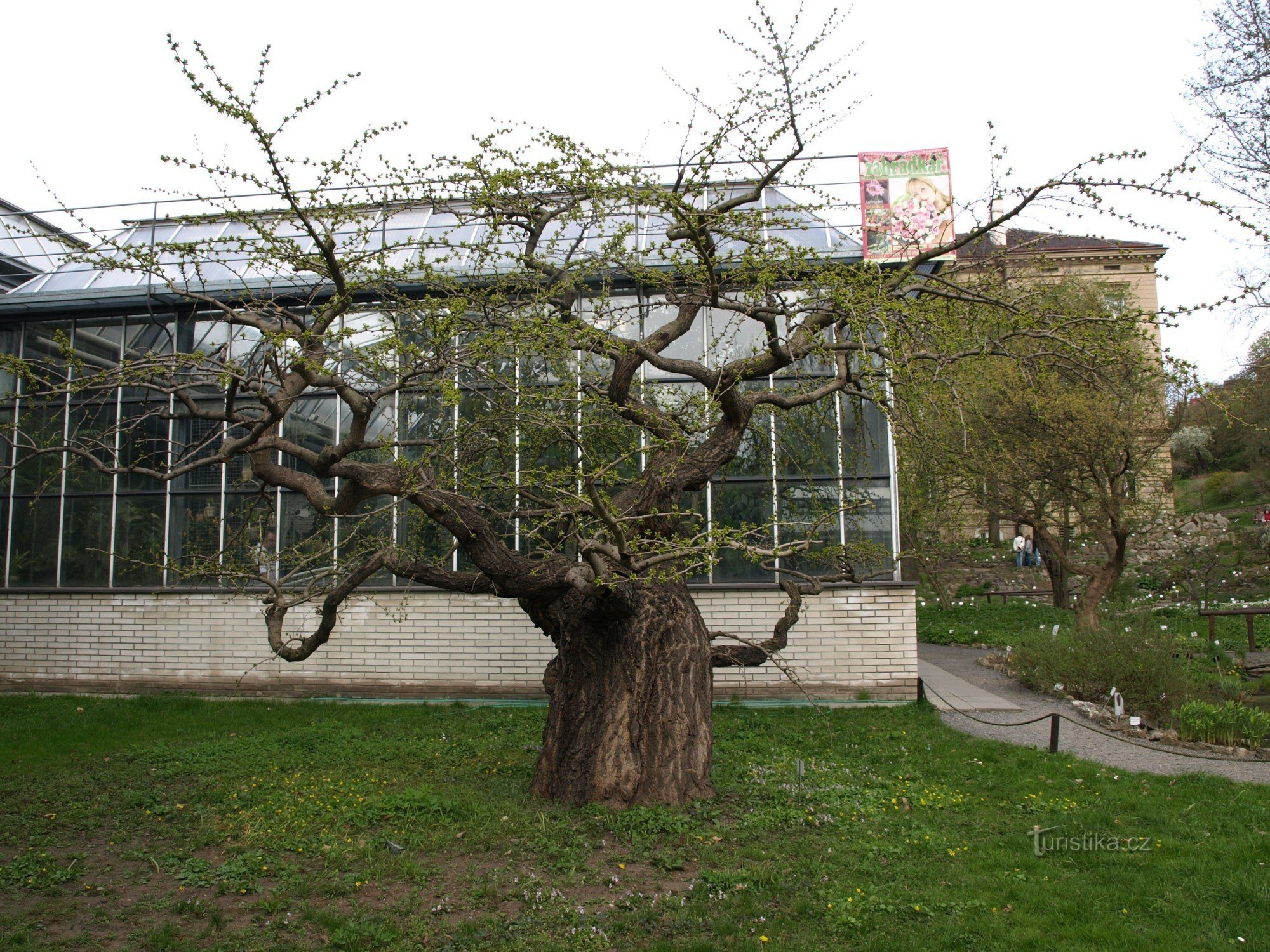 Expoziție în aer liber grădina botanică