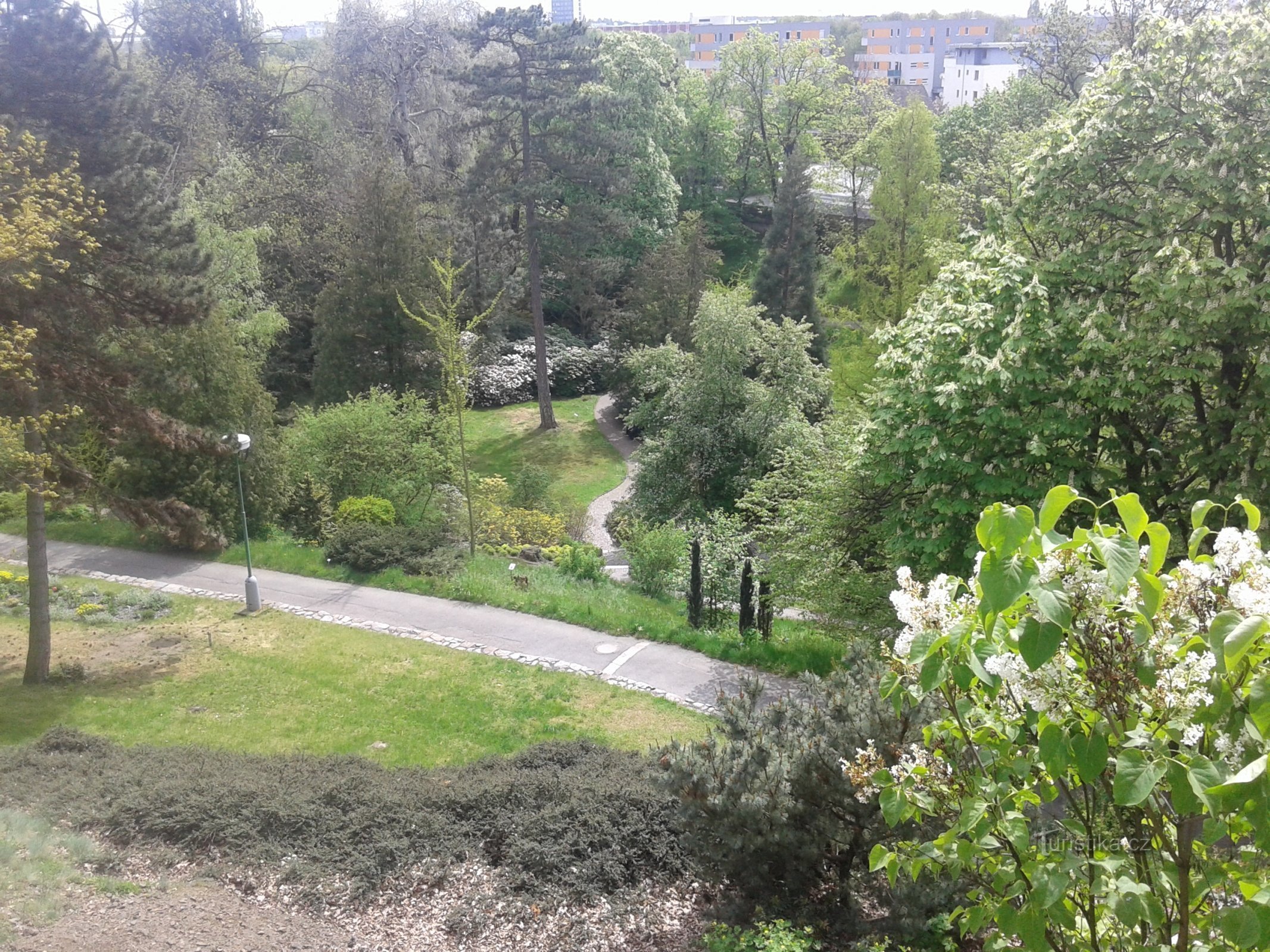 Botanisk trädgård från lusthuset