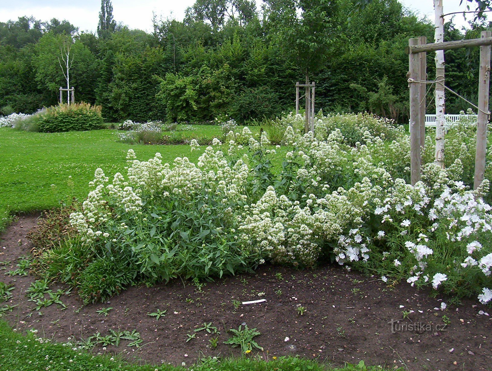 Botánico de Ostrá