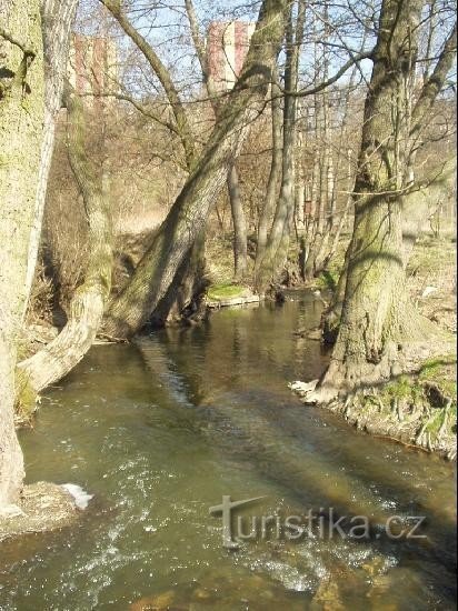 Botič pod Petrovice