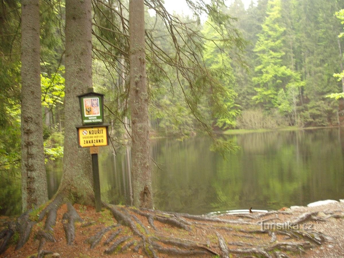 Aussichtsturm Boubín und Urwald