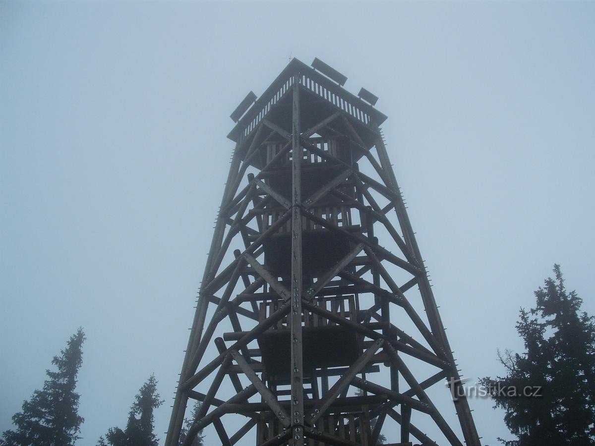 Boubín lookout tower and primeval forest
