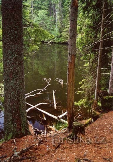 Jezero Boubín