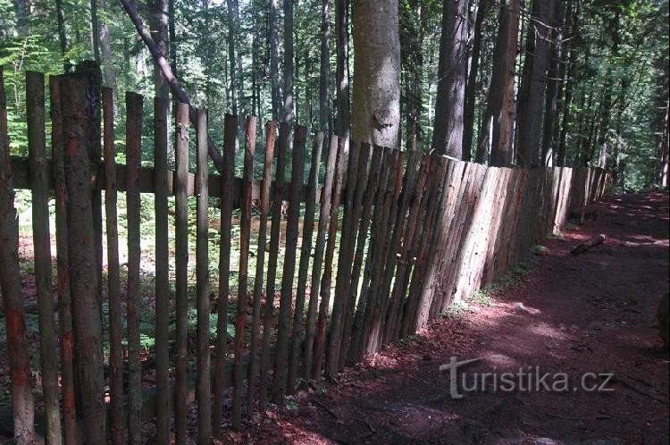 Bosque de Boubín: sigues dando vueltas por el recinto, que se dice que es por la caza, que probablemente no pertenece al bosque