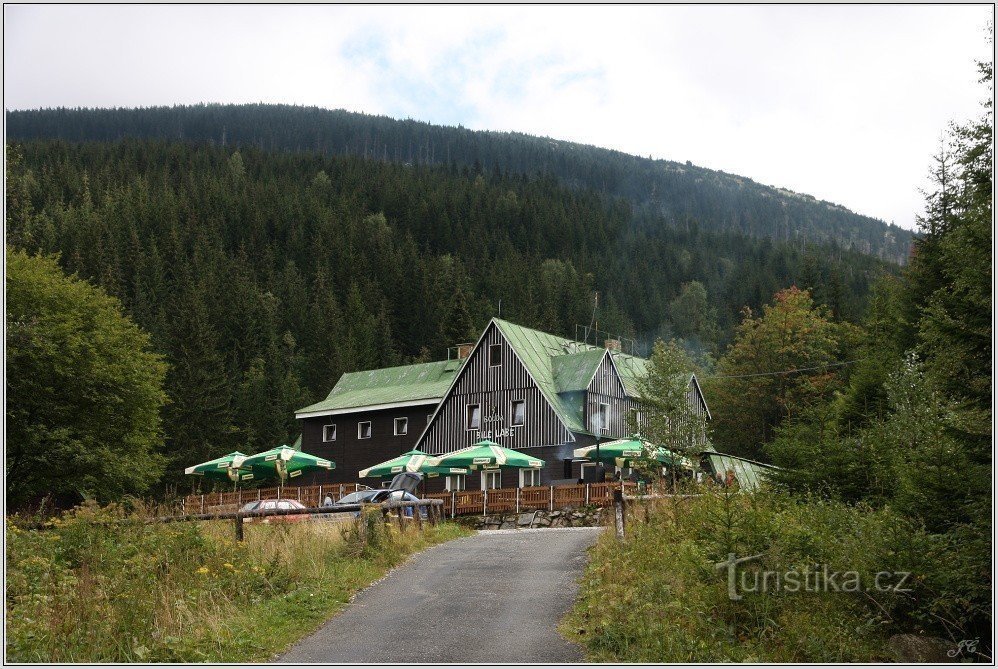 The shed at White Elbe