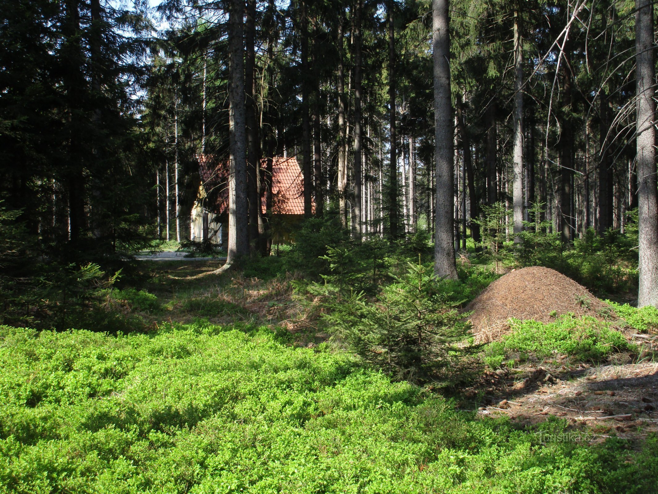 irtoa tieltä kohti Hradištěa