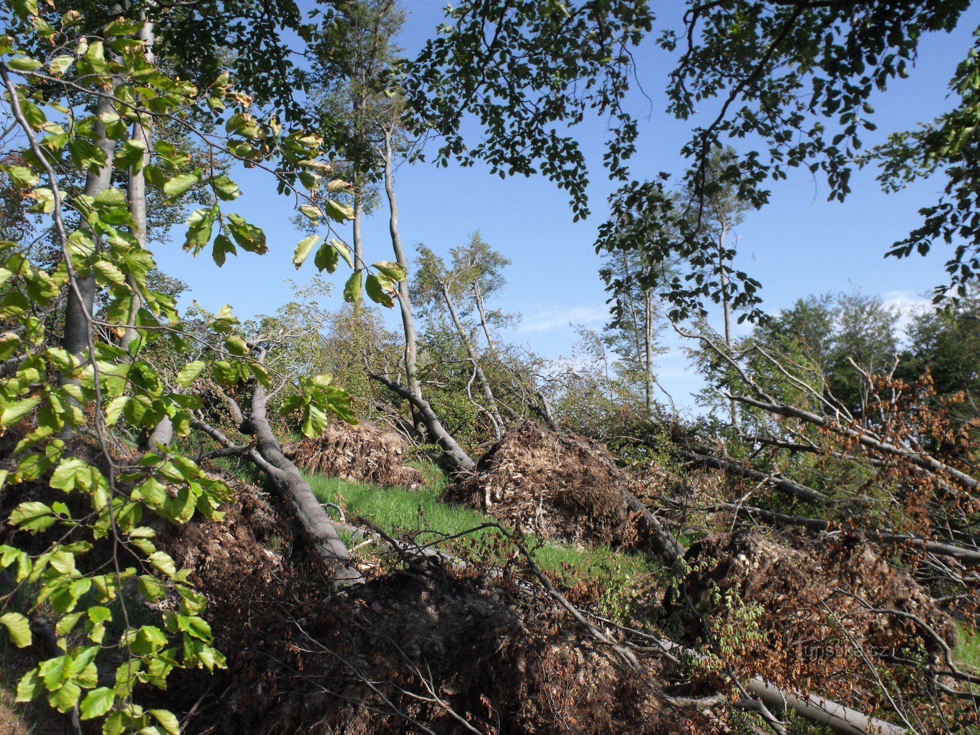 Stormfuldt efter opråbet