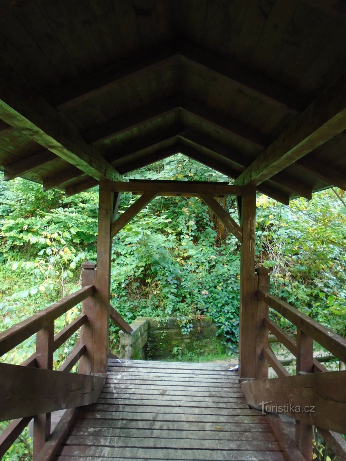 Passerelle de Boušín sur la rivière Úpu