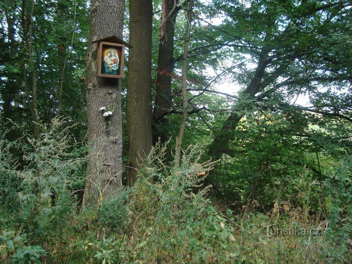 Tourment de Bouzov-Kadeřín-dieu par le chemin forestier vers Javoříček-Photo: Ulrych Mir.