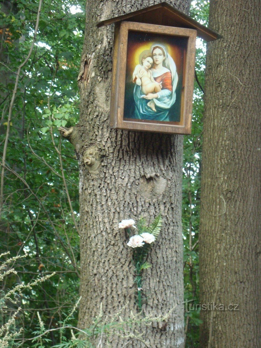 Bouzov-Kadeřín-guds plåga vid skogsstigen till Javoříček-Foto: Ulrych Mir.