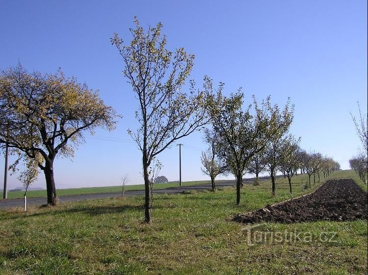 Boží muka: Kopec cestou z Opatovic