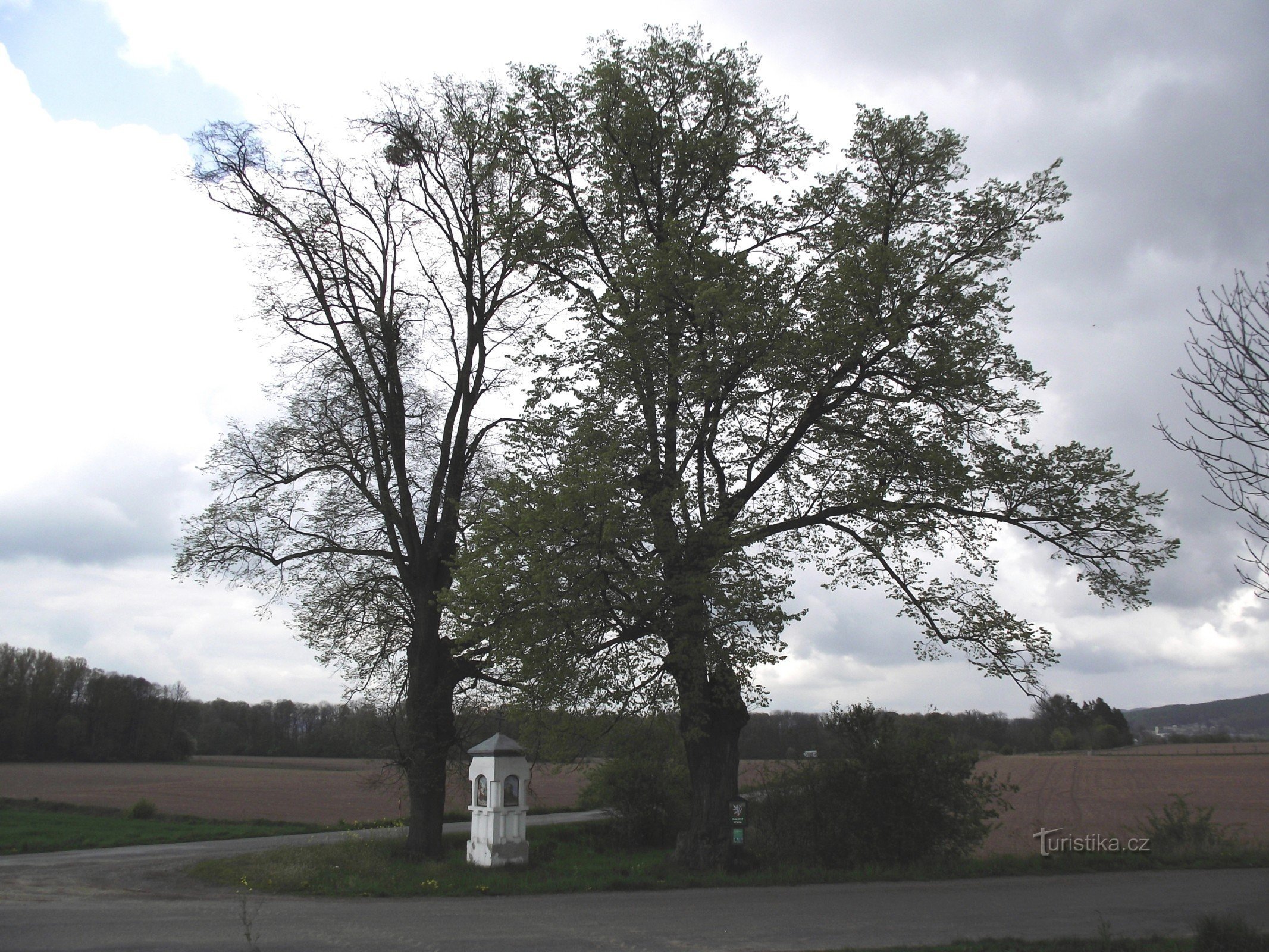 God's torment between a pair of lime trees